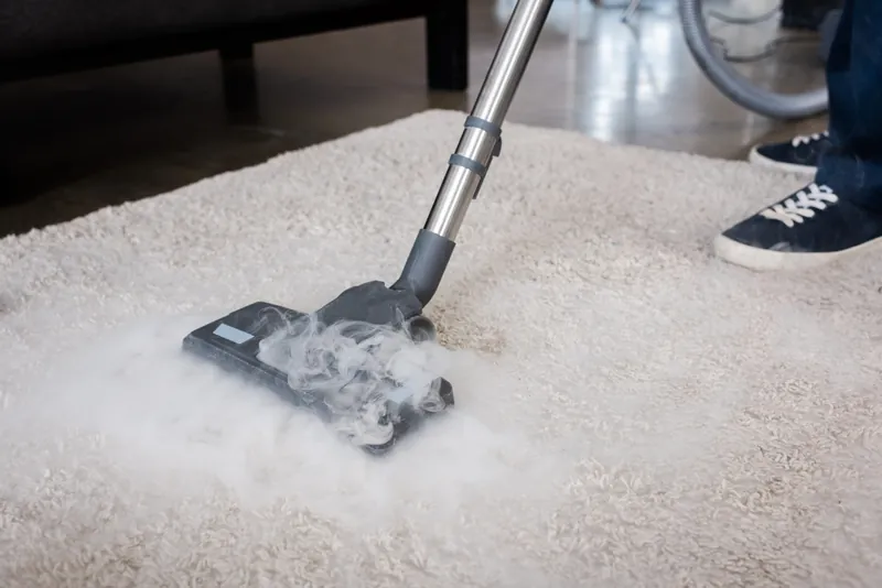 professional vacuum cleaning carpet to remove pollen Charleston home